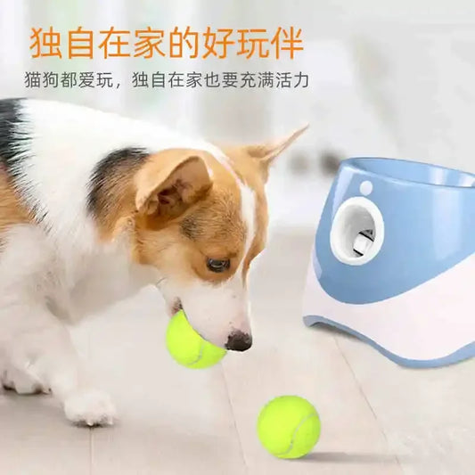 Automatic Pet Ball Thrower