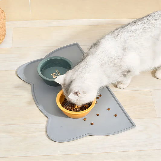 Silicone Pet Feeding Bowl & Mat
